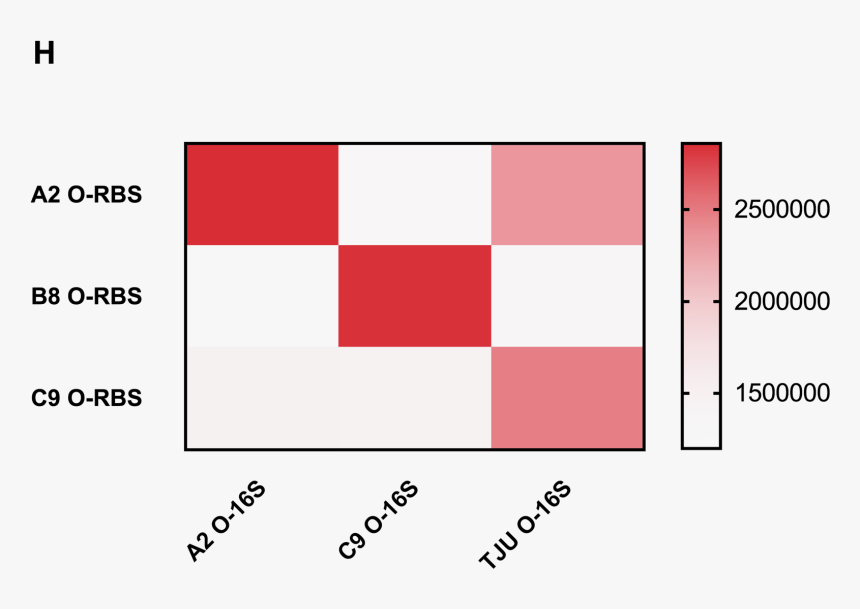 O Fig6c - Coquelicot, HD Png Download