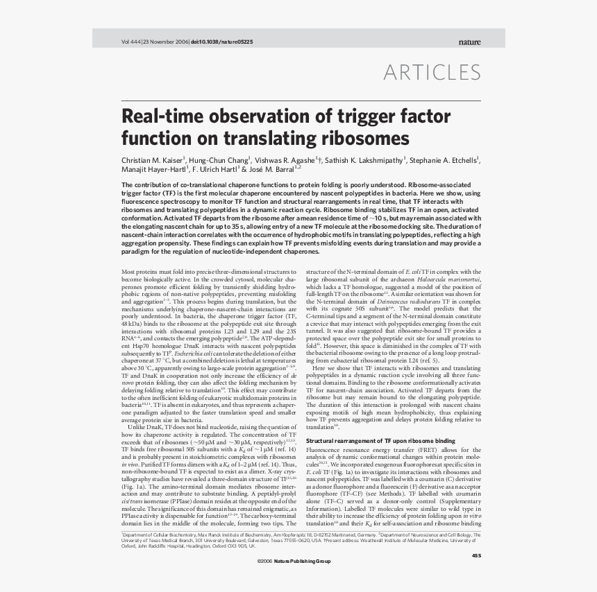 Document, HD Png Download