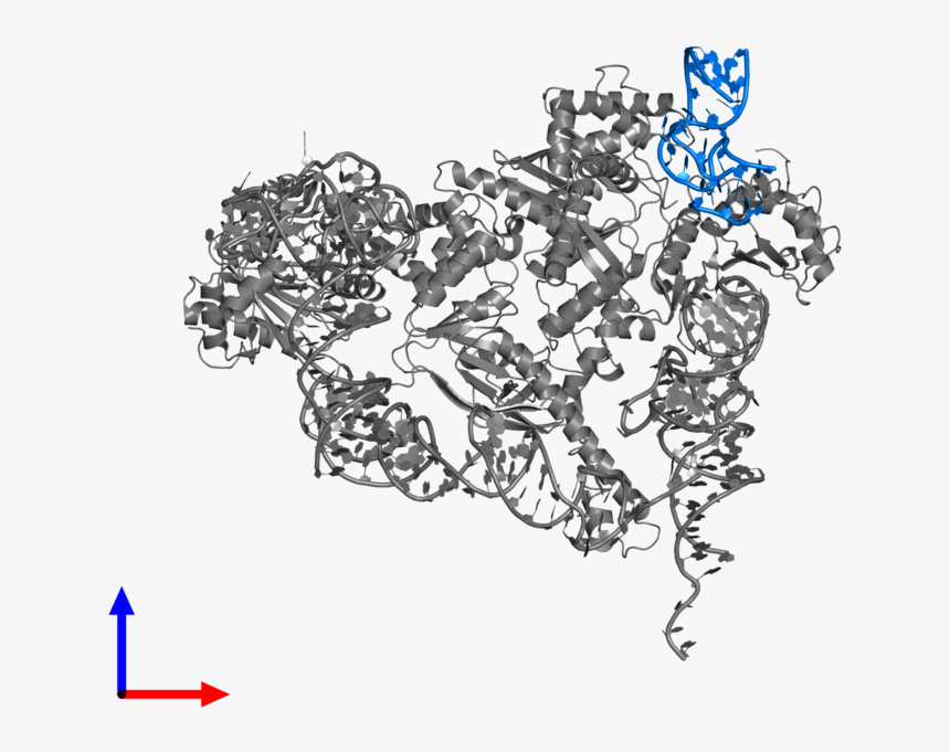 Pdb J S Gallery - Illustration, HD Png Download