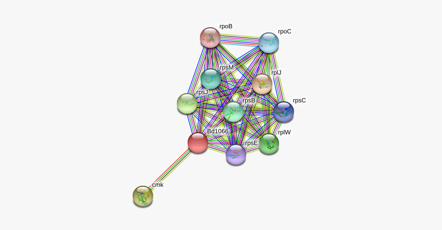 Bd1066 Protein - Circle, HD Png Download
