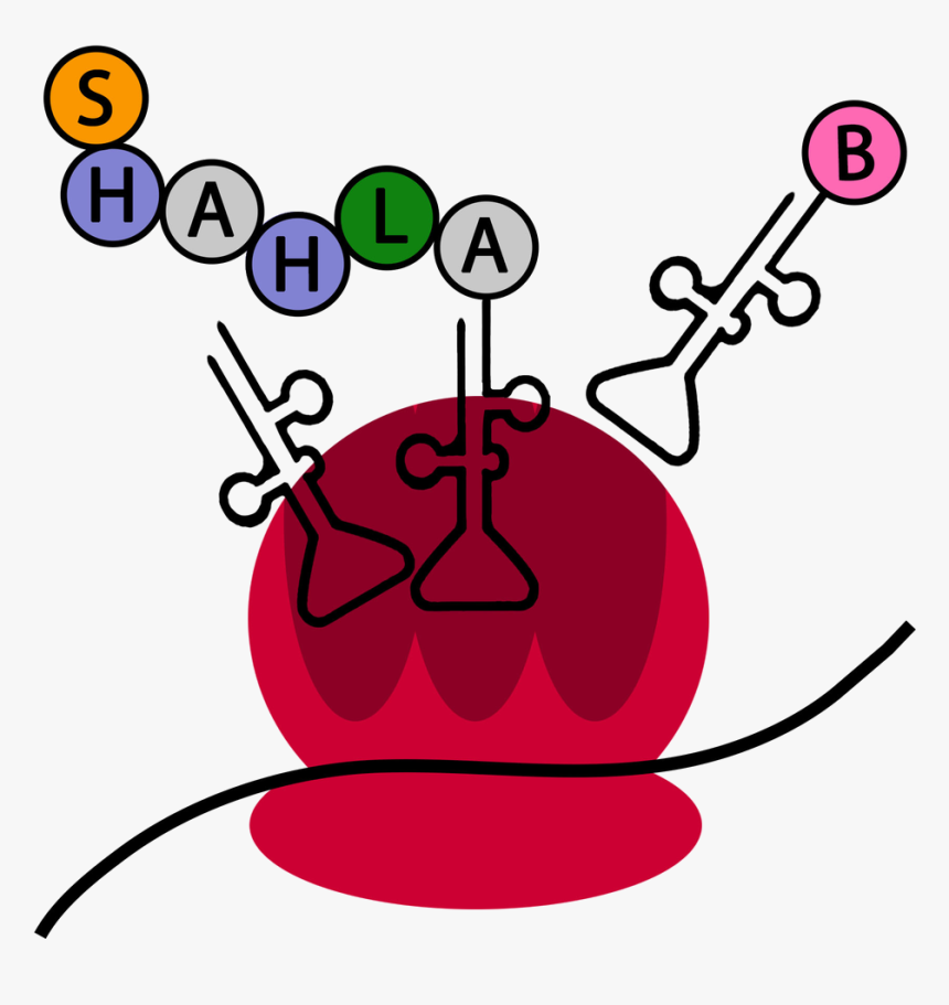 Clip Art, HD Png Download