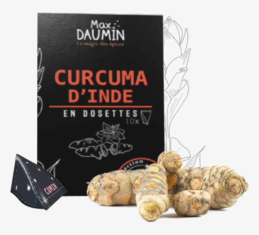 Greater Galangal, HD Png Download