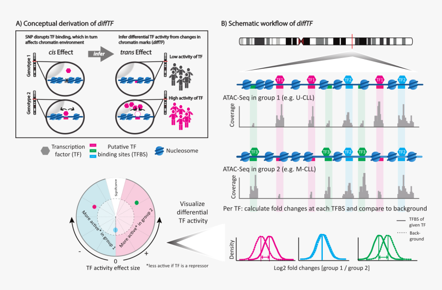 Difftf Schematics - Difftf, HD Png Download