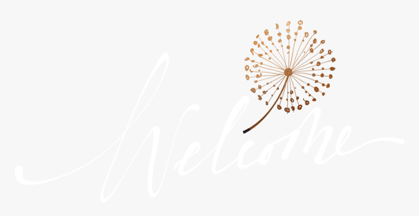 Orange, HD Png Download