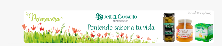 Lady Tulip, HD Png Download