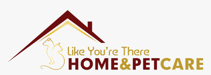 My Blog - Graphic Design, HD Png Download