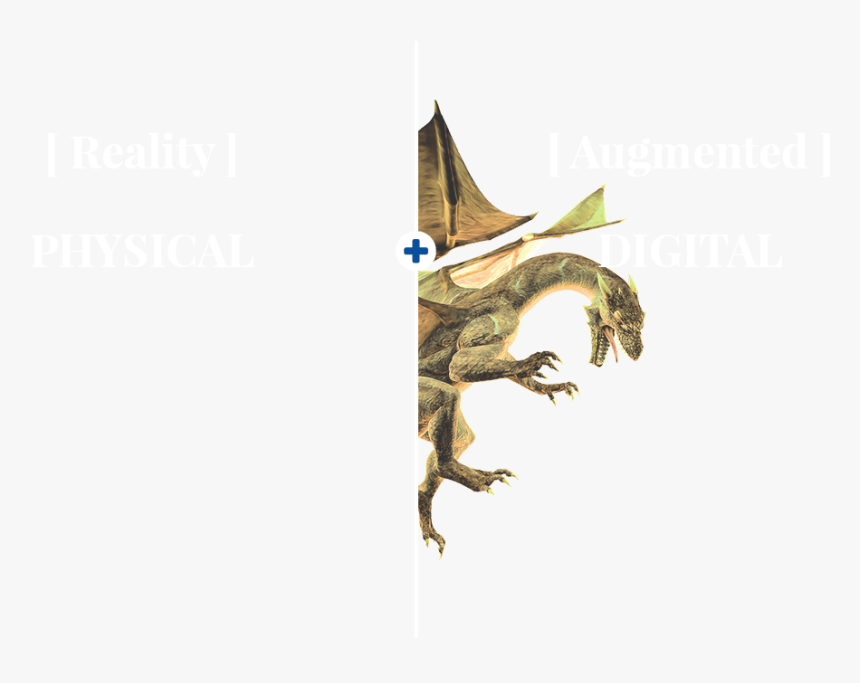 Harry Potter Dragon Png, Transparent Png