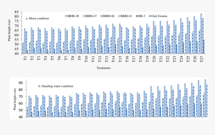 Printing, HD Png Download