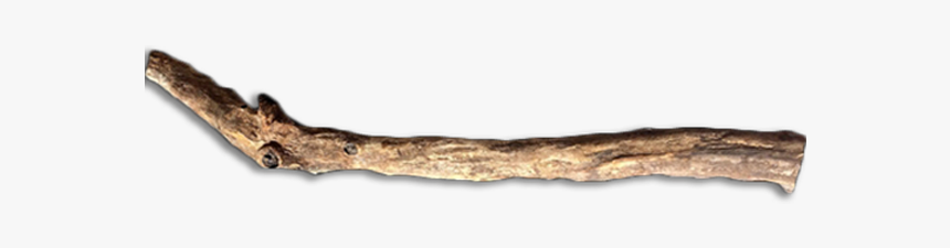 Driftwood, HD Png Download