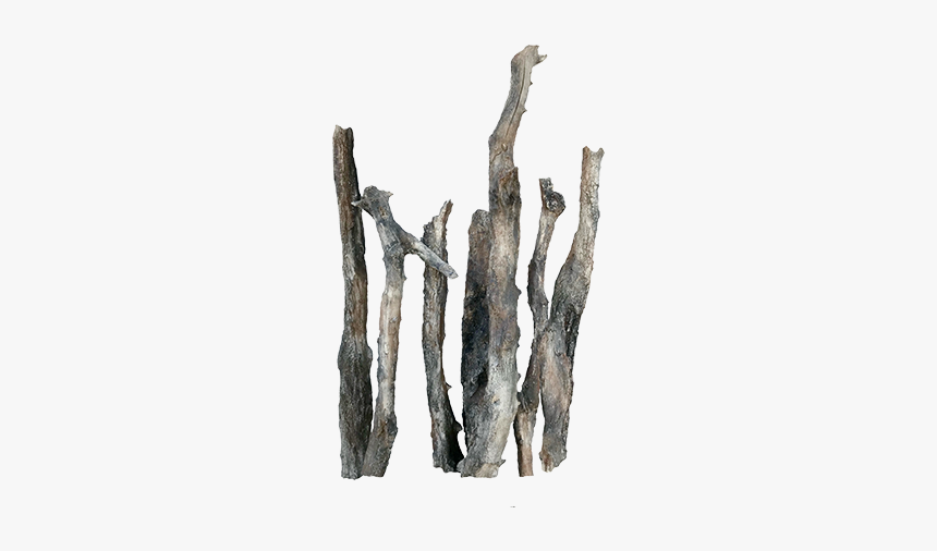Driftwood, HD Png Download