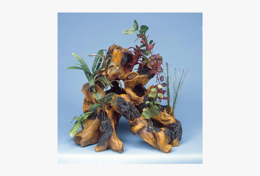 Penn-plax, HD Png Download