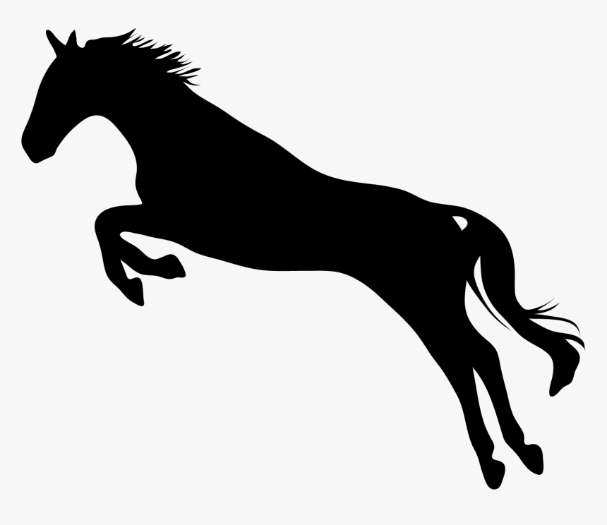 Jumping Horse Decal, HD Png Download , Transparent Png Image PNGitem