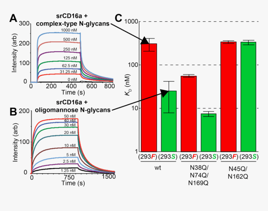 Diagram, HD Png Download