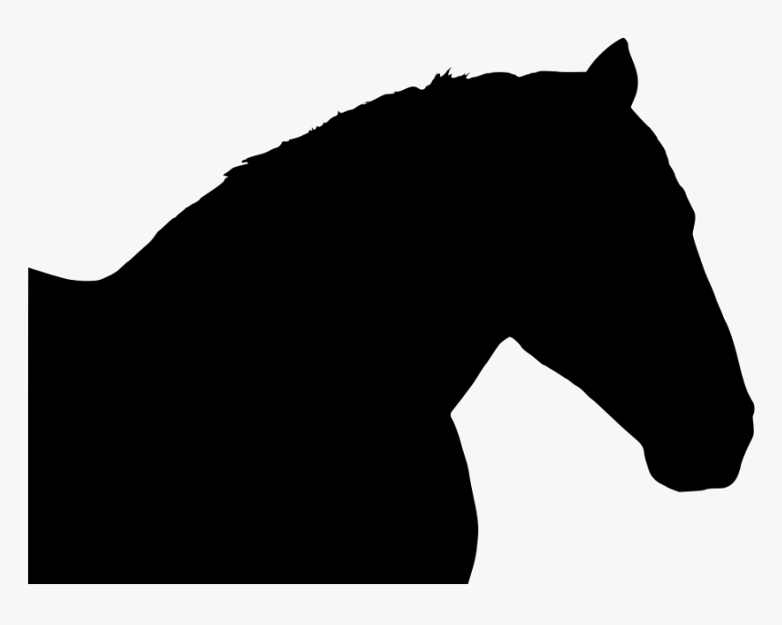 Stallion, HD Png Download