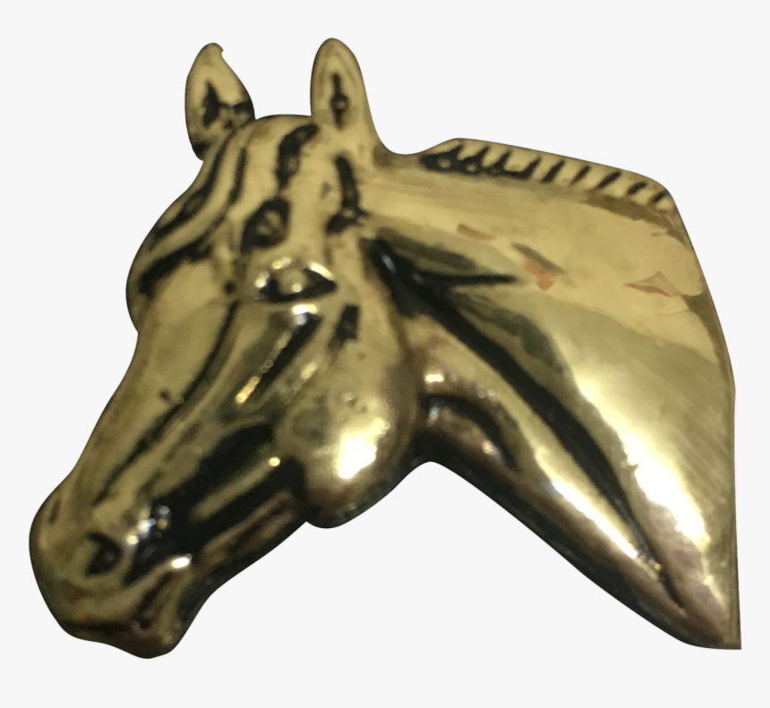 Transparent Horse Head Png - Marine Invertebrates, Png Download