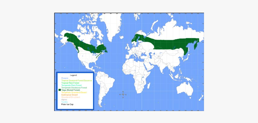 Boreal Forest Of The World, HD Png Download