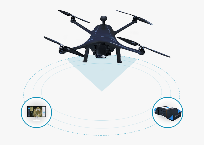 Percepto Sparrow, HD Png Download