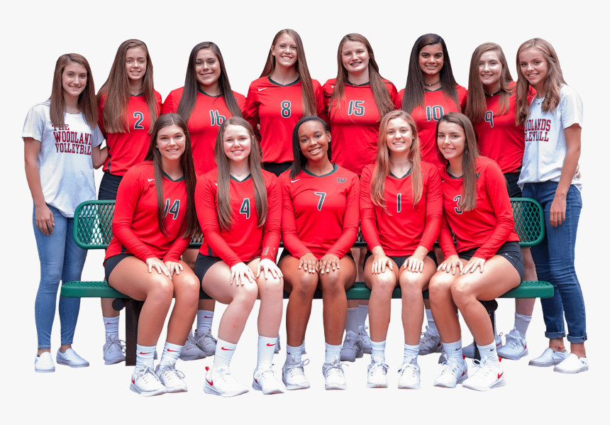 Social Group, HD Png Download