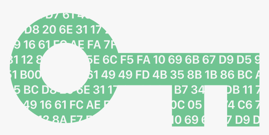 Circle, HD Png Download