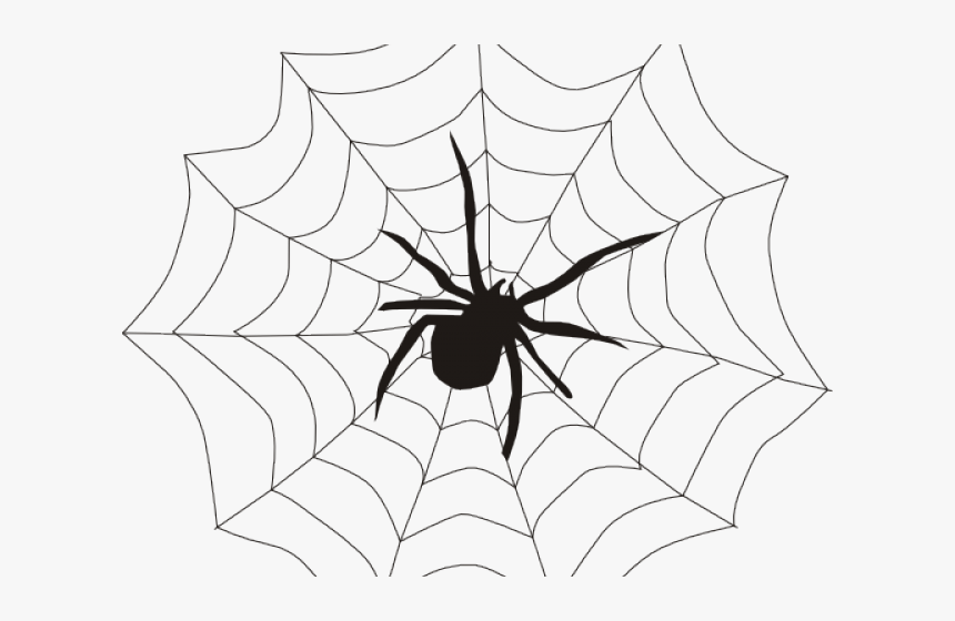 Web Clipart Spinder - Web Spider, HD Png Download