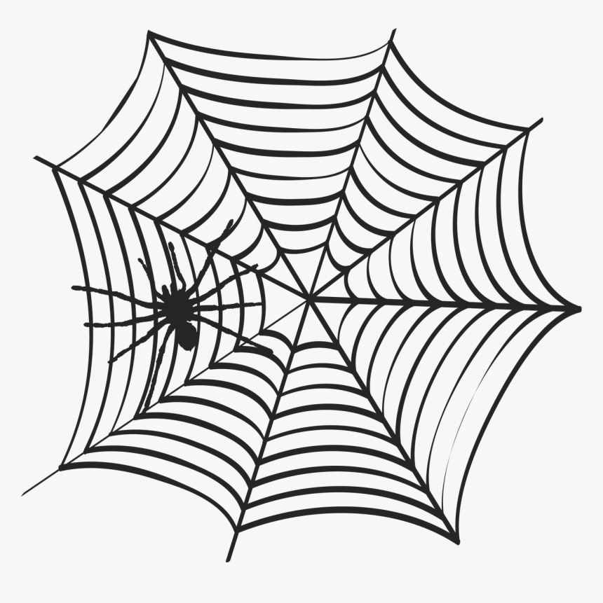 Spider Web - Pin The Spider Game, HD Png Download