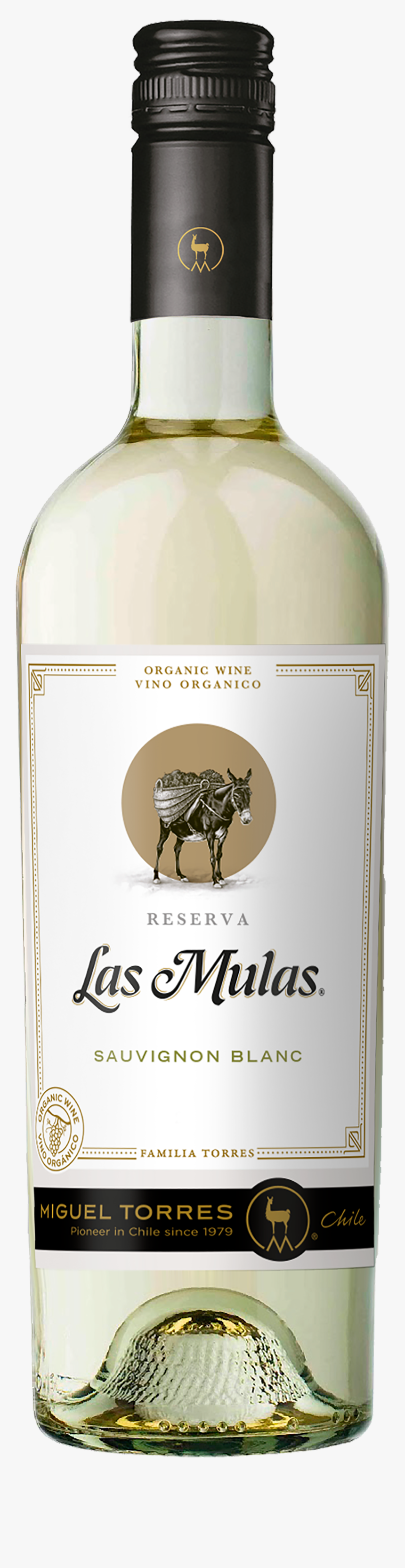 Viu Manent Reserva Sauvignon Blanc, HD Png Download