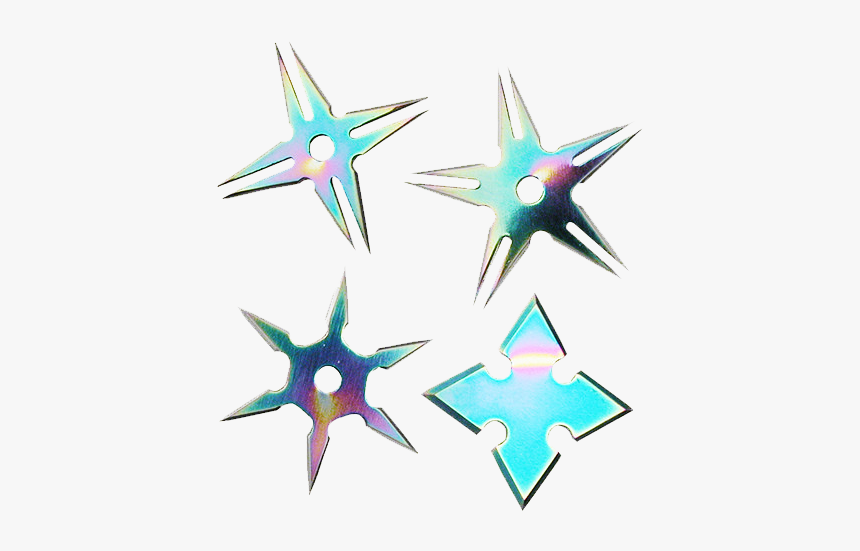 2 1/2 - Marine Invertebrates, HD Png Download