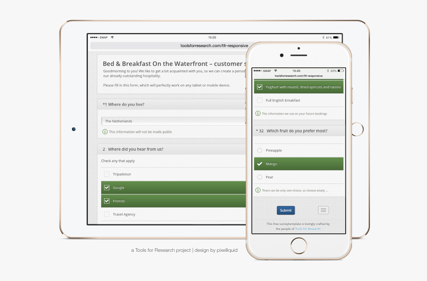 Limesurvey Template, HD Png Download
