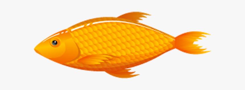 Thumb Image - Goldfish, HD Png Download
