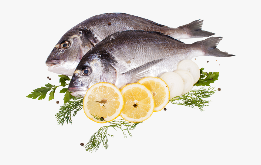 Peixes Da Ria Formosa, HD Png Download