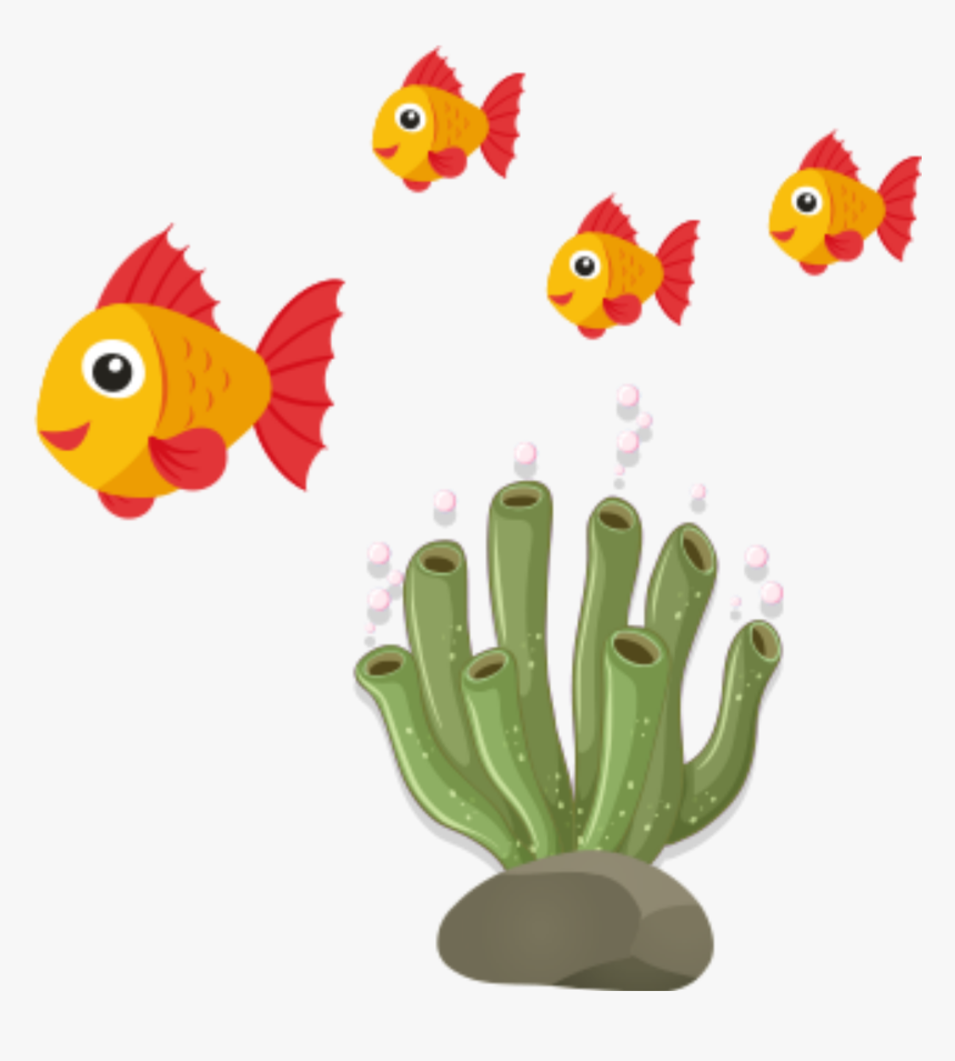Goldfish, HD Png Download