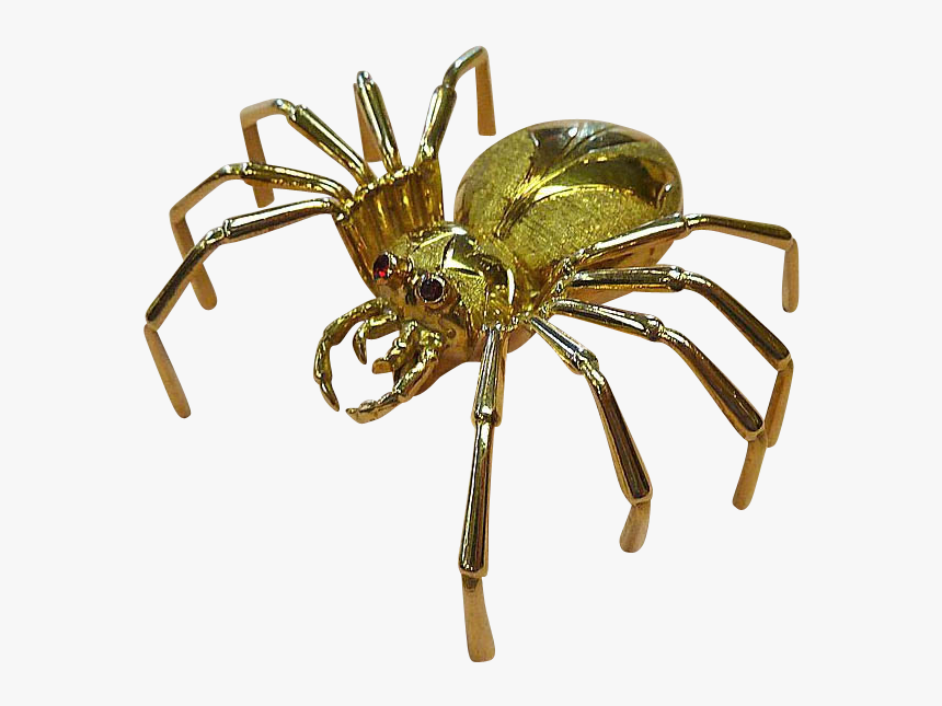 European Garden Spider, HD Png Download