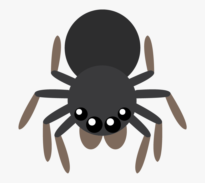 Tarantula, HD Png Download