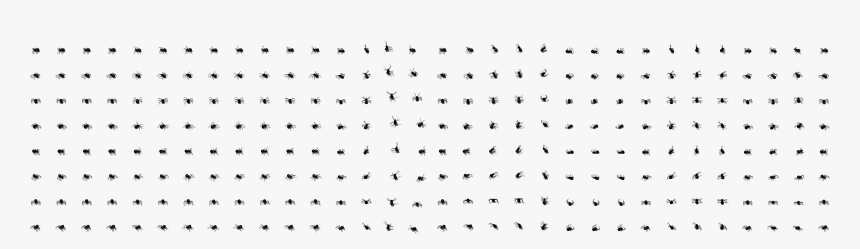 Spider 0 - Spider Sprite Animation Sheet, HD Png Download