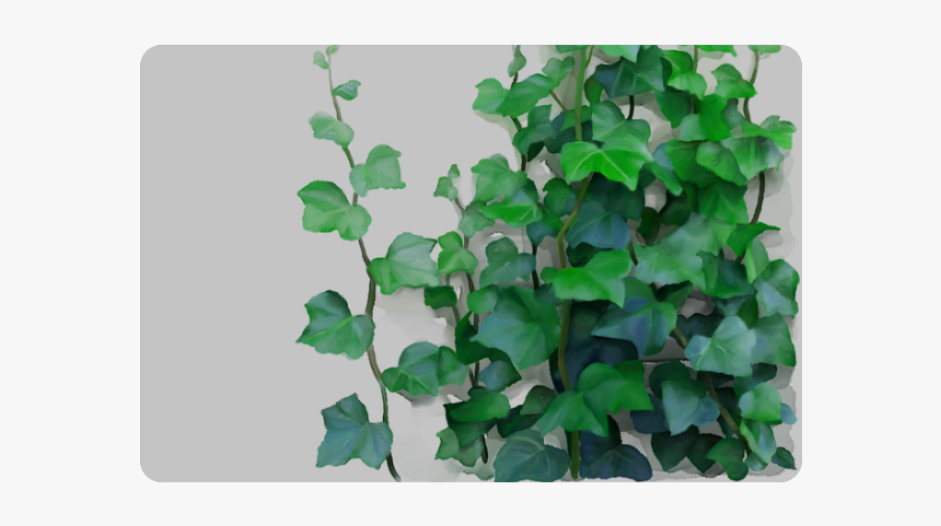 Vines, Climbing Plant Doormat - Watercolor Vines, HD Png Download