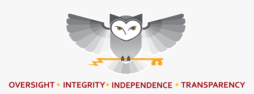 Nsa - Gov - Accessibility - Office Of Inspector General, - Diamond, HD Png Download