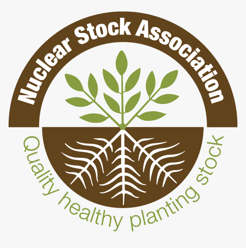 Cultural Diversity Quality Standard, HD Png Download