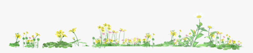 3 - Camomile, HD Png Download