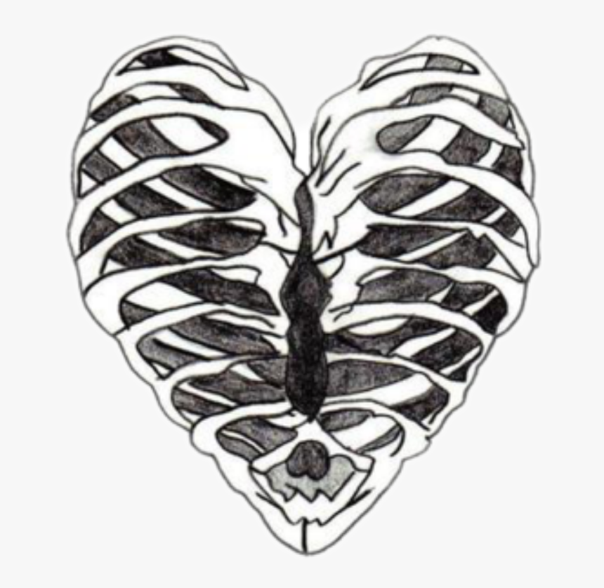 #ribcage #heart #blackandwhite #freetoedit - Skeleton Heart, HD Png Download