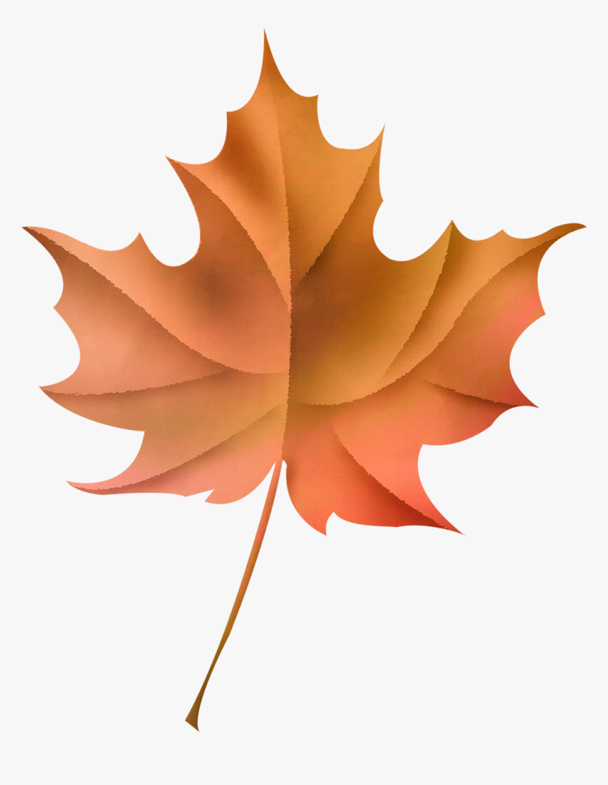 Transparent Leaves - Portable Network Graphics, HD Png Download