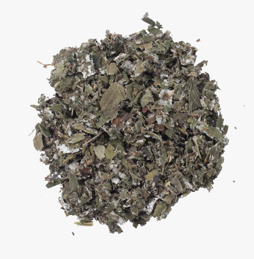 Hojas De Otoño Png, Transparent Png