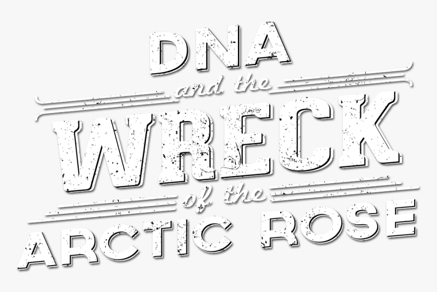 Arctic Rose Headline - Poster, HD Png Download