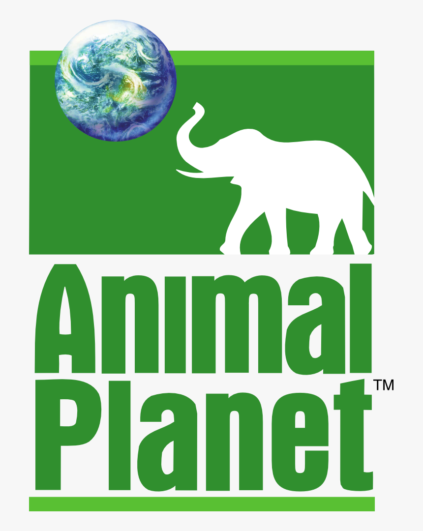 #logopedia10 - Discovery Animal Planet Logo, HD Png Download