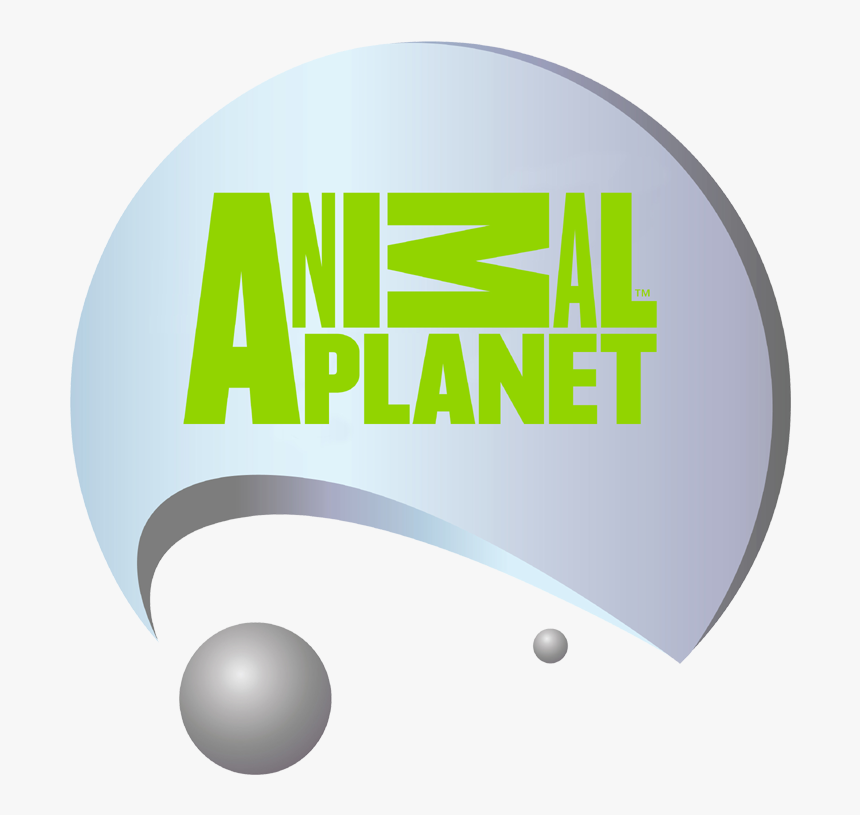 Logo Animal Planet Live, HD Png Download