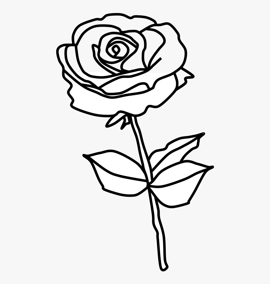 Rose, Thorns, Black And White - Floribunda, HD Png Download