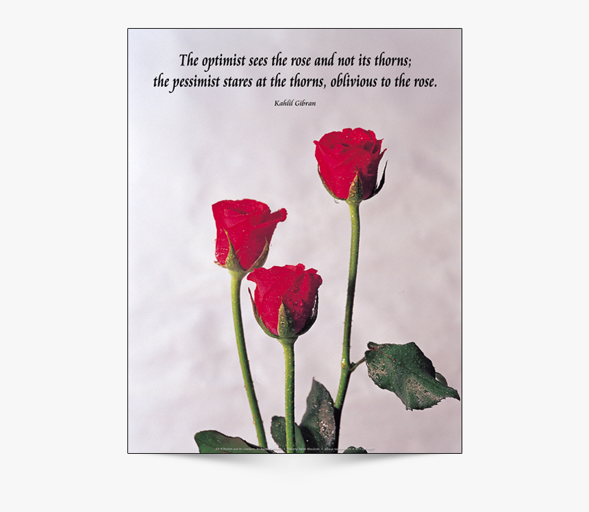 This Is The English Version Of Poster Design - Optimist See The Rose, HD Png Download