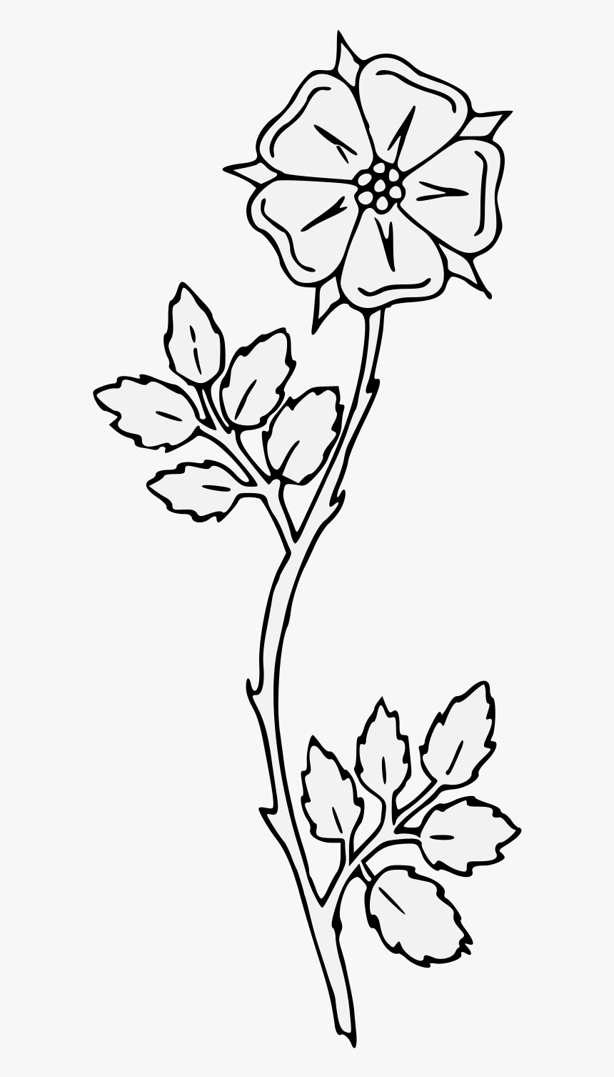 Line Art, HD Png Download