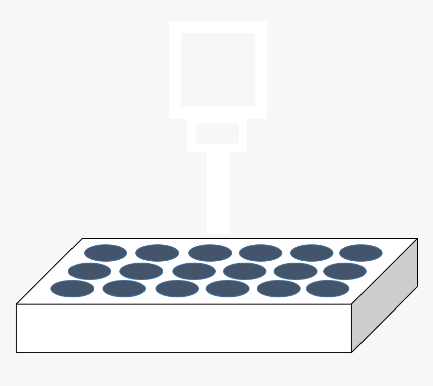 Circle, HD Png Download