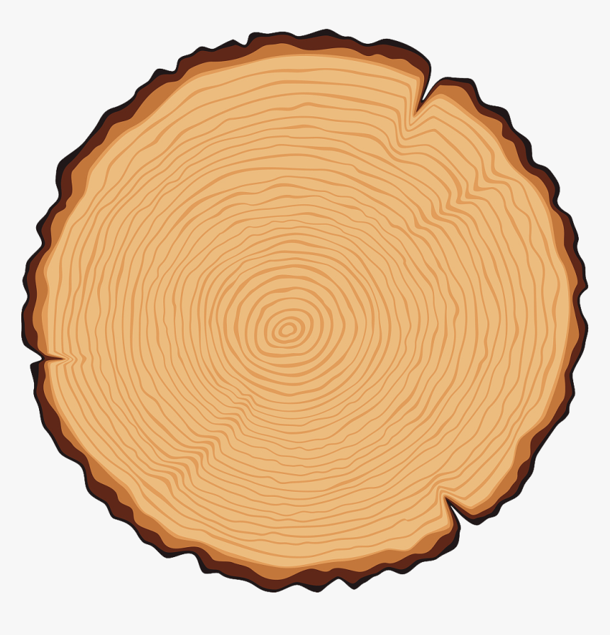 Carpentry, Art And Madness Tree Stump Clipart Png, Transparent Png , Transparent Png Image