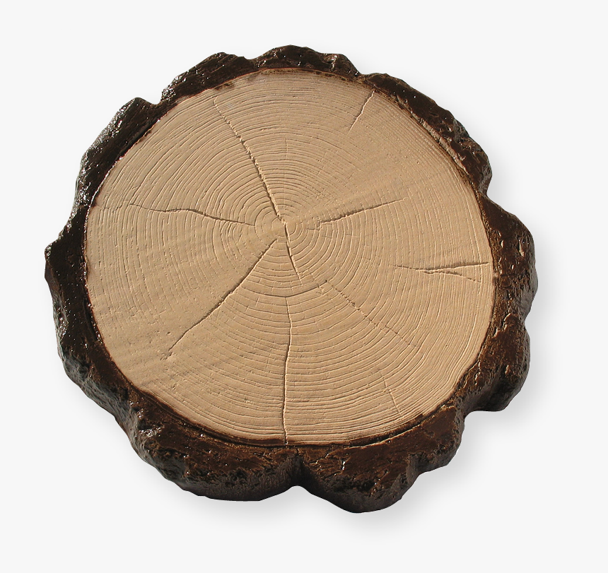 Troncobicolor - Tree Stump, HD Png Download